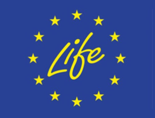 Call LIFE 2020