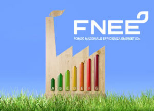 FNEE Fondo Nazionale Efficienza Energetica