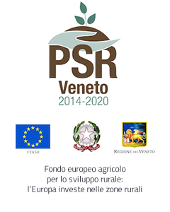 Logo PSR Veneto Logo PSR Veneto